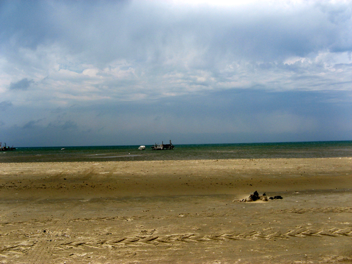 2007-07 Camargue 002.jpg